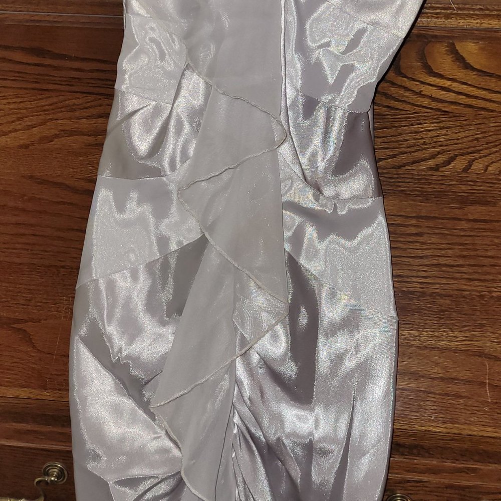 Roberta Silver Mermaid Dress.  Gorgeous!